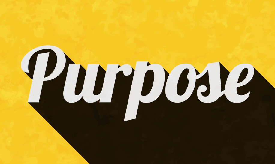 Purpose By Design: Building Brands That Mean Something